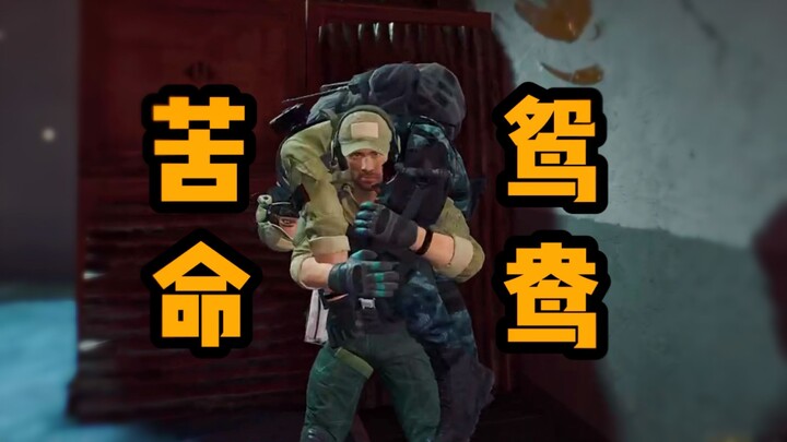 يا هاكي بيز، هل لديك ما تقوله؟