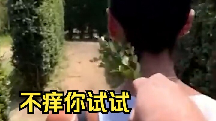 【人类迷惑行为】223 阳光开朗大聪明