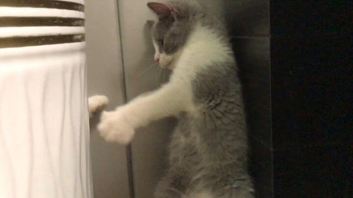 When you realize you’re raising a sick cat!