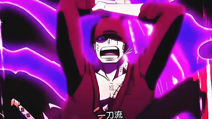 Marco: Zoro, weren’t you going to beat up Kaido? I’ll take you up there.