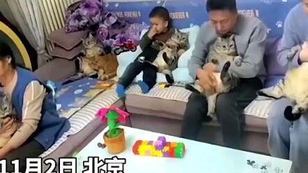 What a family! Everyone’s got a pig, and there are still two left over! Netizen: Just have two more 