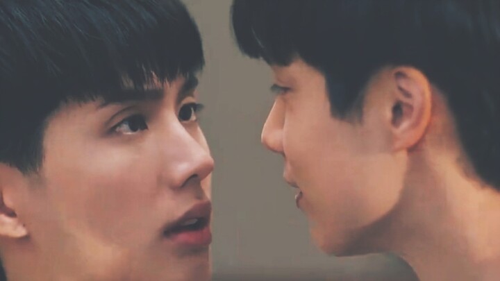 Kiss-quarrel-If you want to kiss again, we can finish it in one day Mr. Bear and his irascible and a