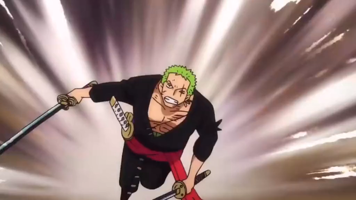 Zoro vs king