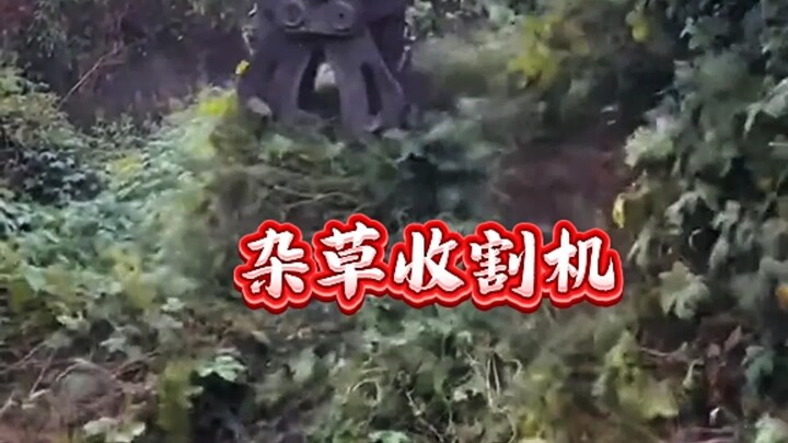 آلة حصاد الأعشاب الضارة مريحة جدًا!