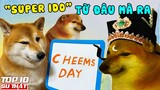 Top 10 sự thật ít người biết về meme Cheems - “Super Idol” bốn chân đặc biệt