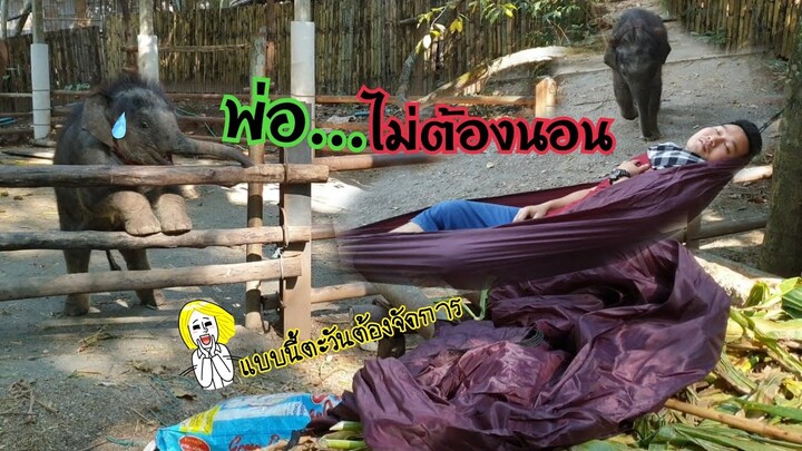 น้องตะวันทำเปลนอนพ่อพังหมดเลย🤒🤷‍♂️🙄
