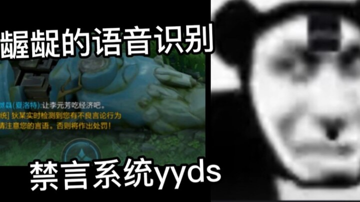 Nimesulide in Language Systems