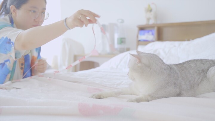 Two people, three cats, and a mouse—this is the kind of life I’d like to live forever!