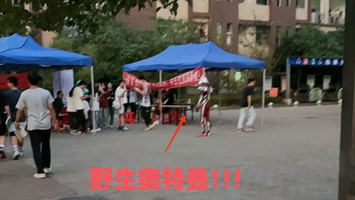 校园疑似出现适能者！