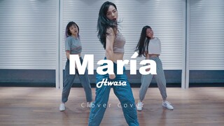 【CloverDo】是谁的Maria洗脑了这个夏天？ | 三叶翻跳华莎热金曲