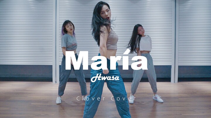 【CloverDo】是谁的Maria洗脑了这个夏天？ | 三叶翻跳华莎热金曲