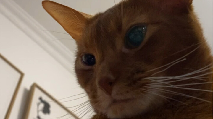 It seems like Brother Jun didn’t say a thing! Yet it also feels like he said everything!