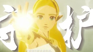“Thật tiếc khi bạn không chơi Zelda và không hiểu được sức nặng của video này.”