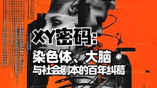 كلمة المرور XY: التشابك المئوي بين الكروموسومات والدماغ والسيناريو الاجتماعي