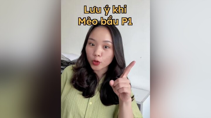 Những thứ mèo bầu cần tránh P1 mèo cat thaomeo tiktokshop LearnOnTikTok meohay