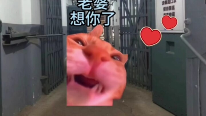 Petugas penjara: Kadang-kadang benar-benar ingin melapor ke polisi