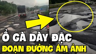 Đoạn đường gây ám ảnh vì " Ổ GÀ" dày đặc | TIN GIẢI TRÍ