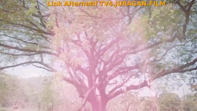 My Marvellous Dream Is You Eps 07 Sub Indo