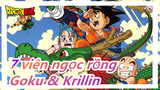 [7 viên ngọc rồng] Tình bạn giữa Goku & Krillin Phần 2, Tình yêu không thể thay đổi