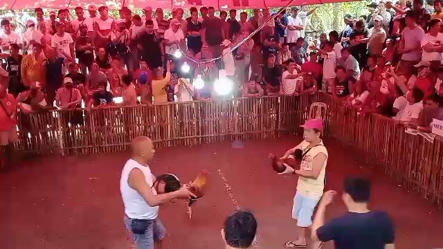 Pure Tornado Hma Banahaw