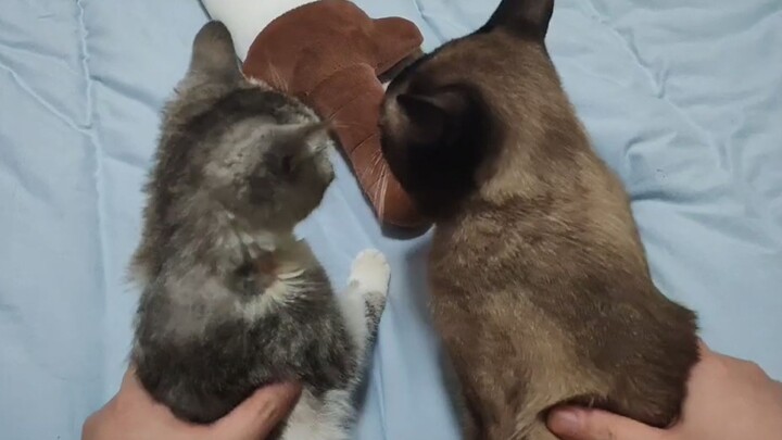 Double Training