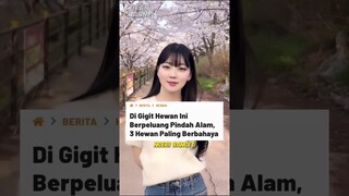 3 Hewan Paling Berbahaya Di Dunia, Nomer 3 Sekali Gigit Auto Pindah Alam