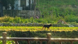 “小时候的夏天好像根本不热......”