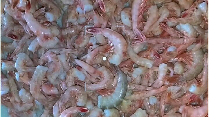 🦐 লাল টাইগার চিংড়ি 🦐 | মাথা ছাড়া প্রিমিয়াম চিংড়ি | eCoora Organic Mart 🌿