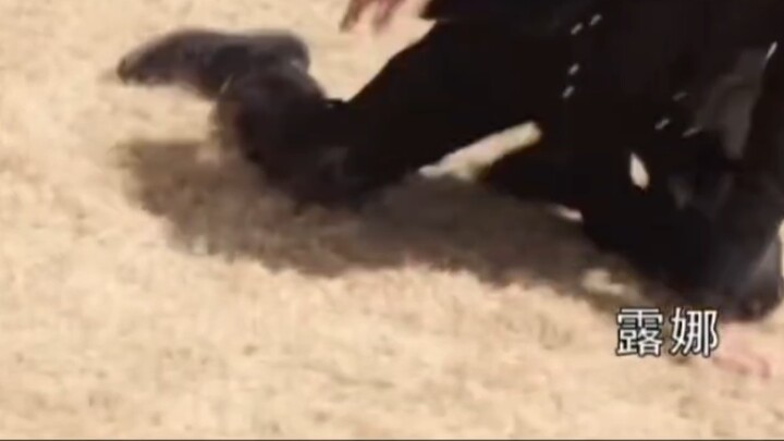 عندما أصدرت شركة بانداي حذاءً مشتركًا مع ماسكيد سايبير، هوس سينجوكو