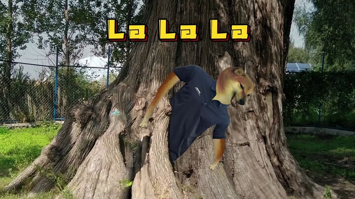 ติดอยู่ในต้นเอลเดอร์~