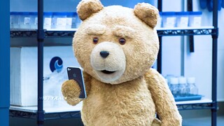 Setelah menonton Teddy Bear sekali, Anda perlu menonton Paddington Bear berkali-kali untuk sembuh!