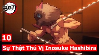 10 Sự Thật Thú Vị Inosuke Hashibira | Kimetsu No Yaiba - Demon Slayer - Gươm Diệt Quỷ