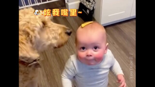 当有吃的出现时，🐶总会来分一杯羹😂😂嘴馋的狗子~