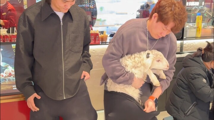 The young man hid the live sheep in his crotch to avoid inspection by the lamb rib shop clerk.
