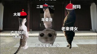 قصة حياة الإمبراطورة هوا عبر ميمات القطط (الجزء الأول)