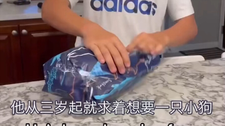 Ever since he was 3, the little boy dreamed of owning a dog—and on his 12th birthday, his wish final