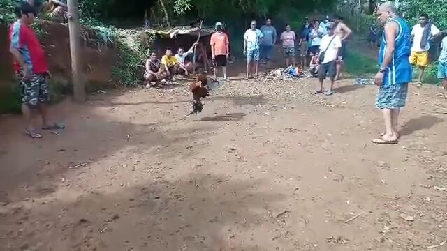 saglit lang pinatay kalban .......