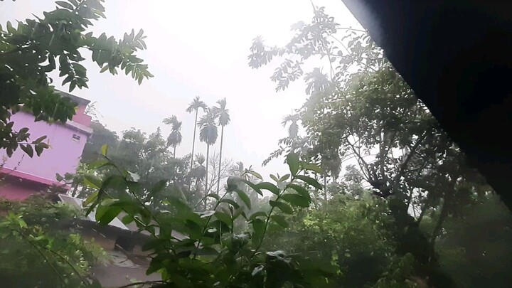 Song of the Rain