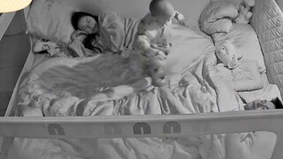พ่อกรนเสียงดังมาก ลูกก็เลยออกไปสู้กับศัตรู แม่เก่งเรื่องนี้จริงๆ!
