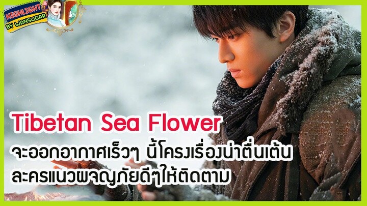 🔶🔶Tibetan Sea Flower จะออกอากาศเร็วๆ นี้โครงเรื่องน่าตื่นเต้น ละครแนวผจญภัยดีๆให้ติดตาม