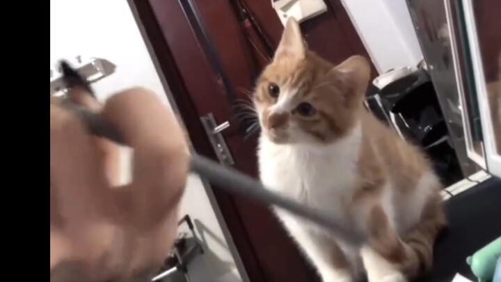 เขากำลังดูอย่างตั้งใจสุดๆ น่ารักมากกกก