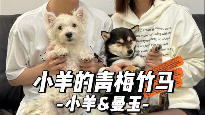 你跟你多年未见的好朋友见面也会像我俩这样吗😂