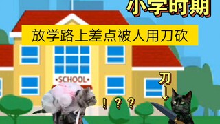 [ميم قطة] في ذلك الوقت تعرضت للتنمر في المدرسة الابتدائية وانتهى بي الأمر بإرسال المتنمر إلى المستشف