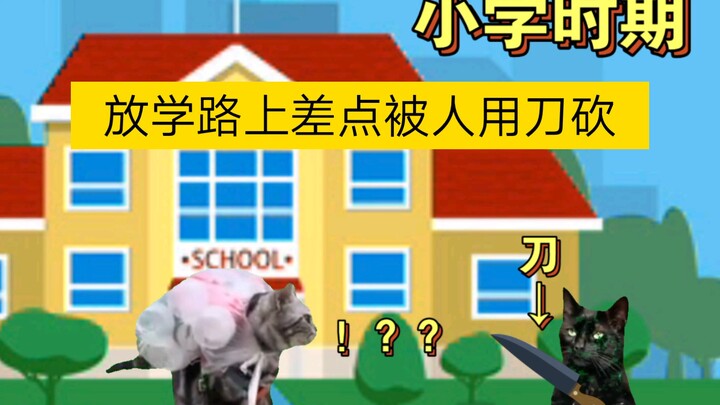 [Meme mèo] Về lần tôi bị bắt nạt ở trường tiểu học và cuối cùng phải đưa kẻ bắt nạt vào bệnh viện (Á