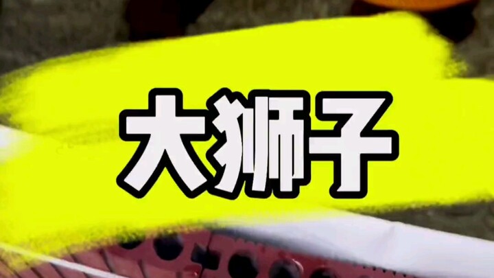 海洋生物拆盲盒