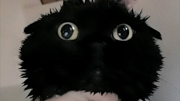 Saya sudah tidak bisa memikirkan judul yang bagus, tolong bantu saya memikirkannya!