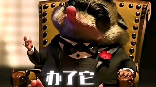 “办了它”这是最潇洒的老鼠了吧