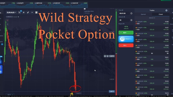 Pocket Option Wild Signals 2026