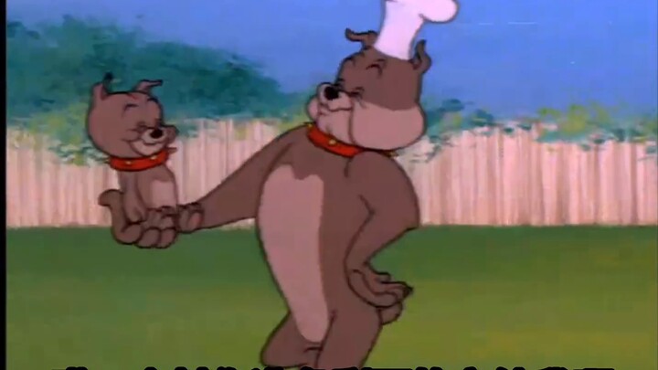 Tim Xiaochao pergi berkemah sambil mengisi suara Tom dan Jerry? !