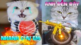 Thú Cưng Vlog | Mèo Và Mun Siêu Quậy #10 | Mèo thông minh vui nhộn | Smart cat funny pets